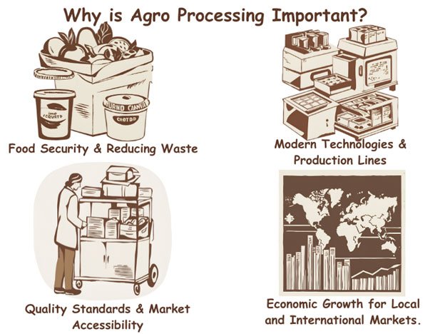 why is agro processing important