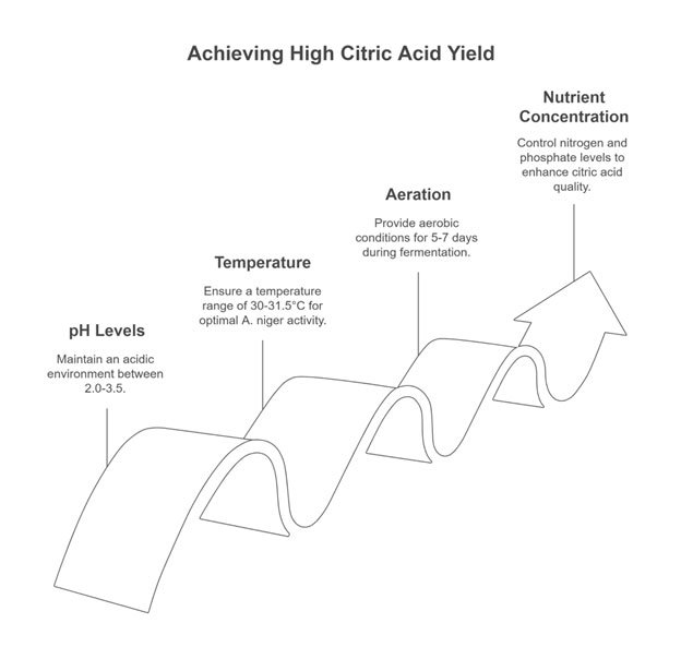 High citric acid yield