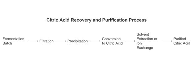 citric acid recovery process
