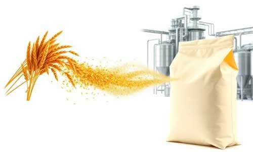 Wheat Starch Production plants